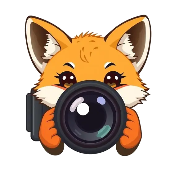 About Vlogging.Lol